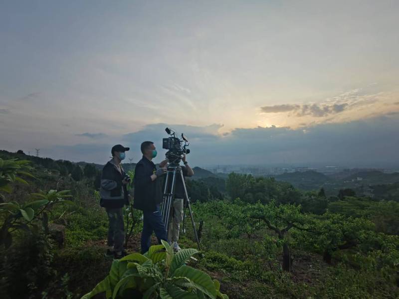 创意破圈！九原区电商产品宣传视频用故事化叙事引爆流量